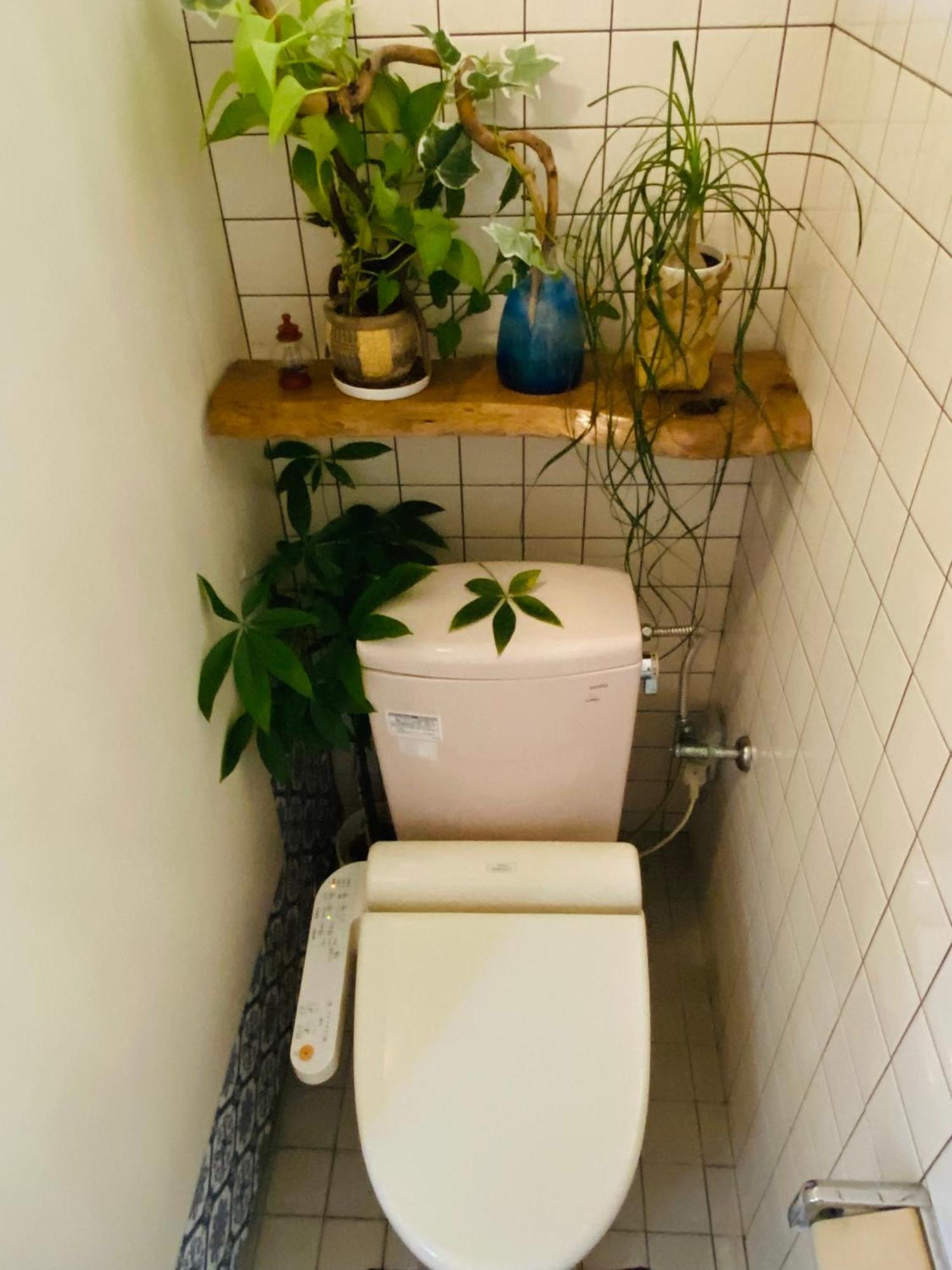 Appartement Irodoru à Ishigaki  Extérieur photo